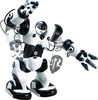 RC ROBOT ROBONE